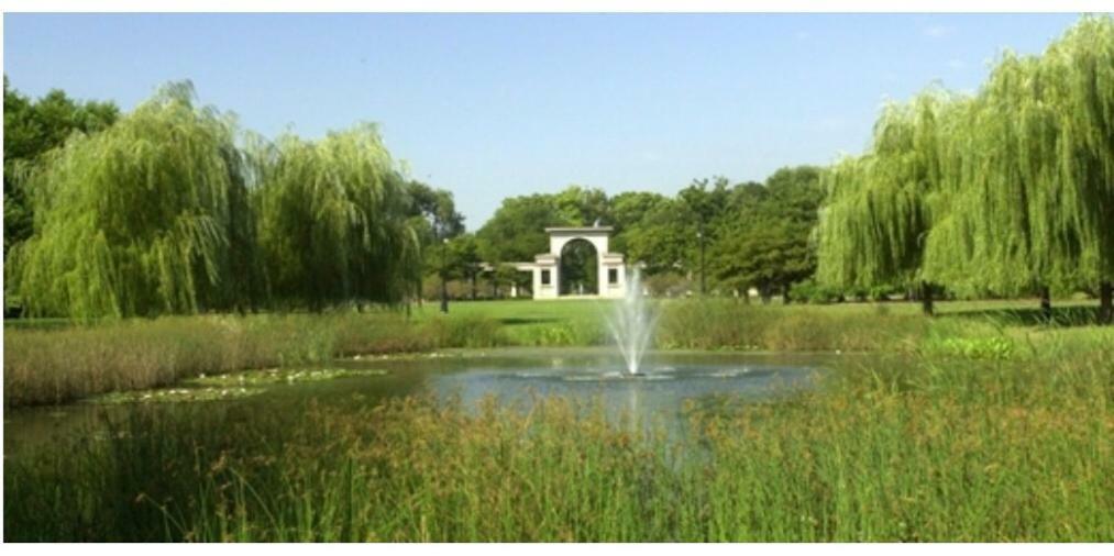 Perfect Place To Enjoy The City Or Just Relax Chicago Exterior photo